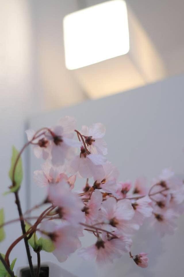 NewlyBuild 2 bedrm Apt 2 mins Baseball Museum 4ppl Hiroshima Exterior foto
